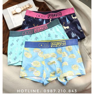 Quần lót đôi Cotton Wind siêu đẹp