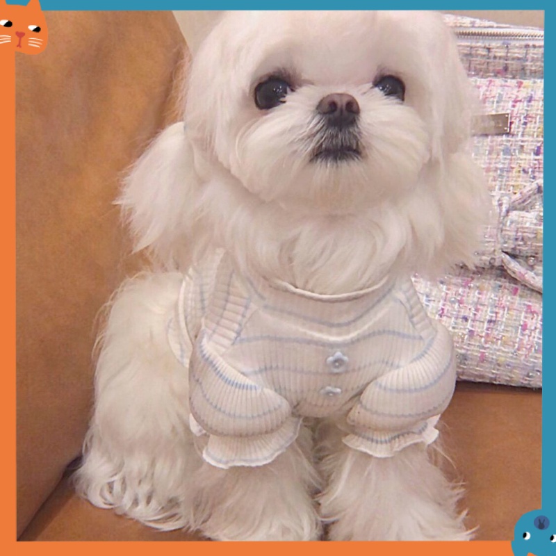 Áo Thun MùA Hè Cho Thú Cưng