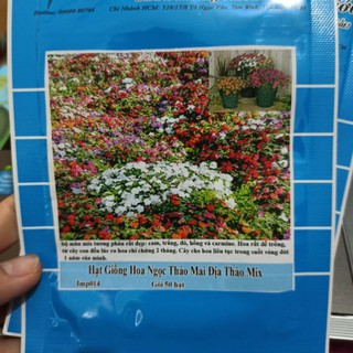 Hạt Giống Hoa Mai Địa Thảo  Mix