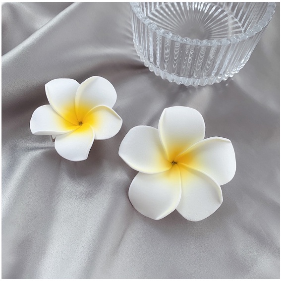 Hoa Cho Tóc Đi Biển 1 Cái Sứ