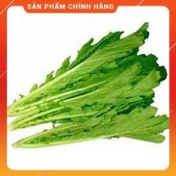 HẠT GIỐNG CẢI MÈO GÓI 20 GRAM