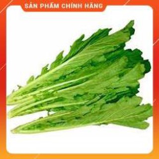 HẠT GIỐNG CẢI MÈO GÓI 20 GRAM