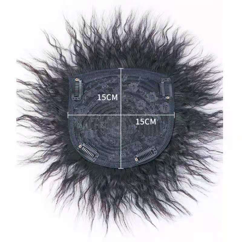 Tóc giả xoăn xù phong cách Hàn Quốc thời trang cho nam và nữ