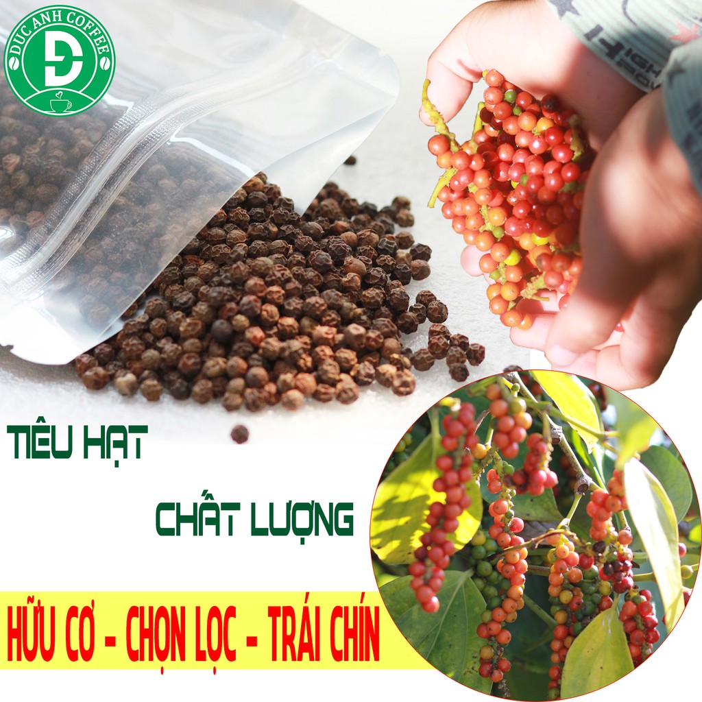 Gói Tiêu Đen Nguyên hạt D - Vị Cay Thơm Nồng, Nguyên Chất, Tỉ Lệ Trái Chín Cao (200g/500g/1000g)