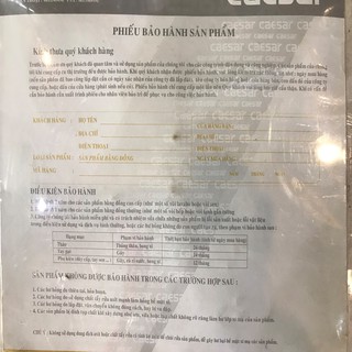 Vòi Nước Gắn Tường Caesar WP027C