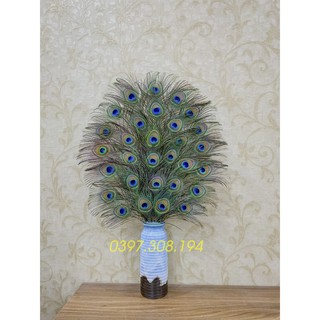 Lông công phong thủy tự nhiên dài 80-100cm, mắt đẹp size vừa, có hình thật ảnh cuối khi cắm lên (Ship từ 15 cành)