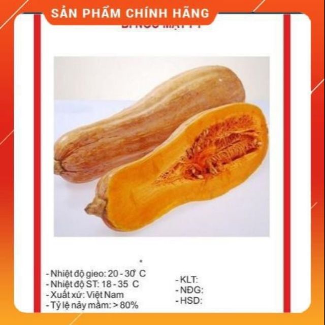 Hạt giống bí đỏ quả dài