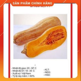 Hạt giống bí đỏ quả dài