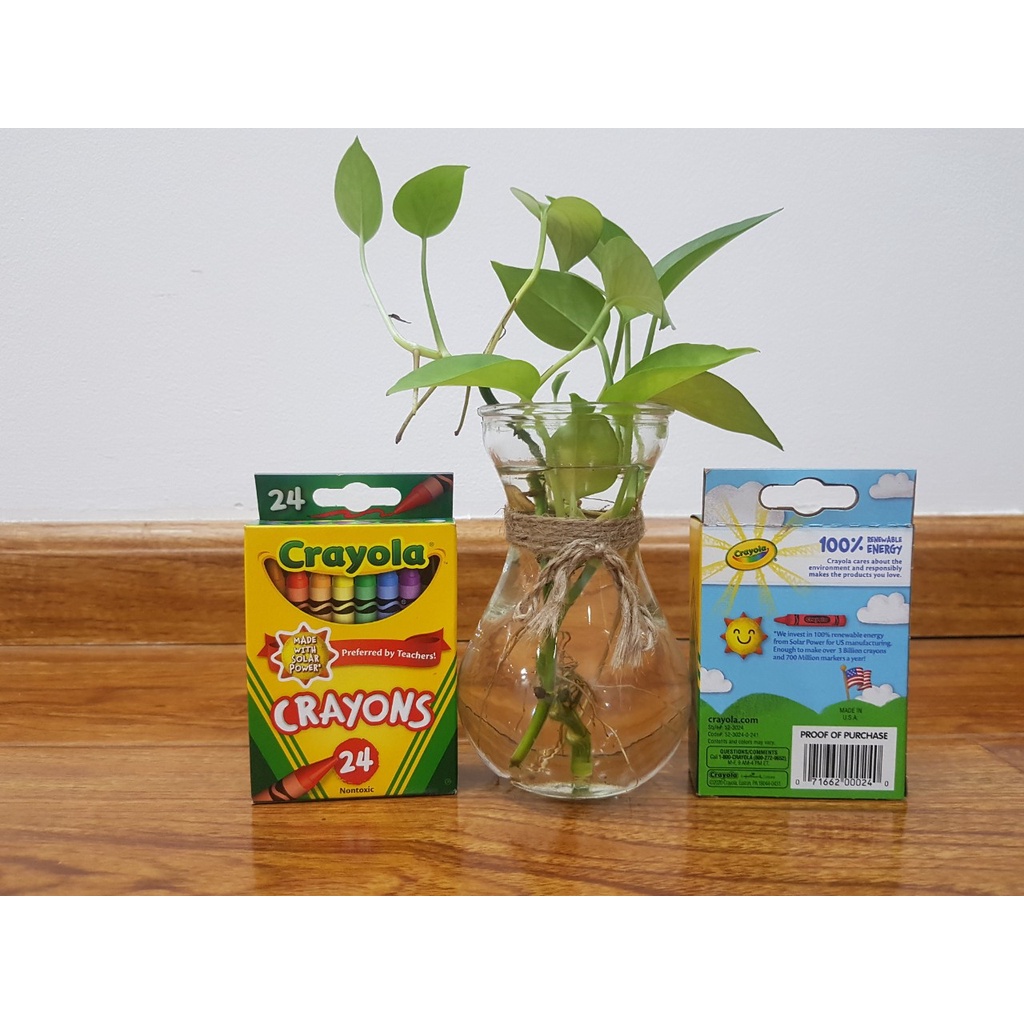 Sáp màu có thể rửa được Crayola Ultra-Clean Washable Crayons