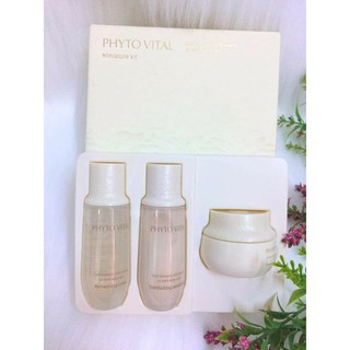BỘ DƯỠNG DA OHUI PHYTO VITAL