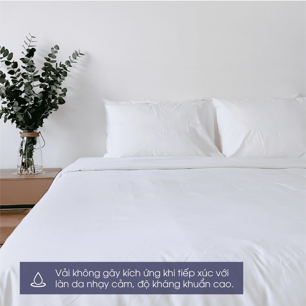 Bộ ga giường Cotton Changmi Bedding chống nhăn, chống đổ lông - 3 món