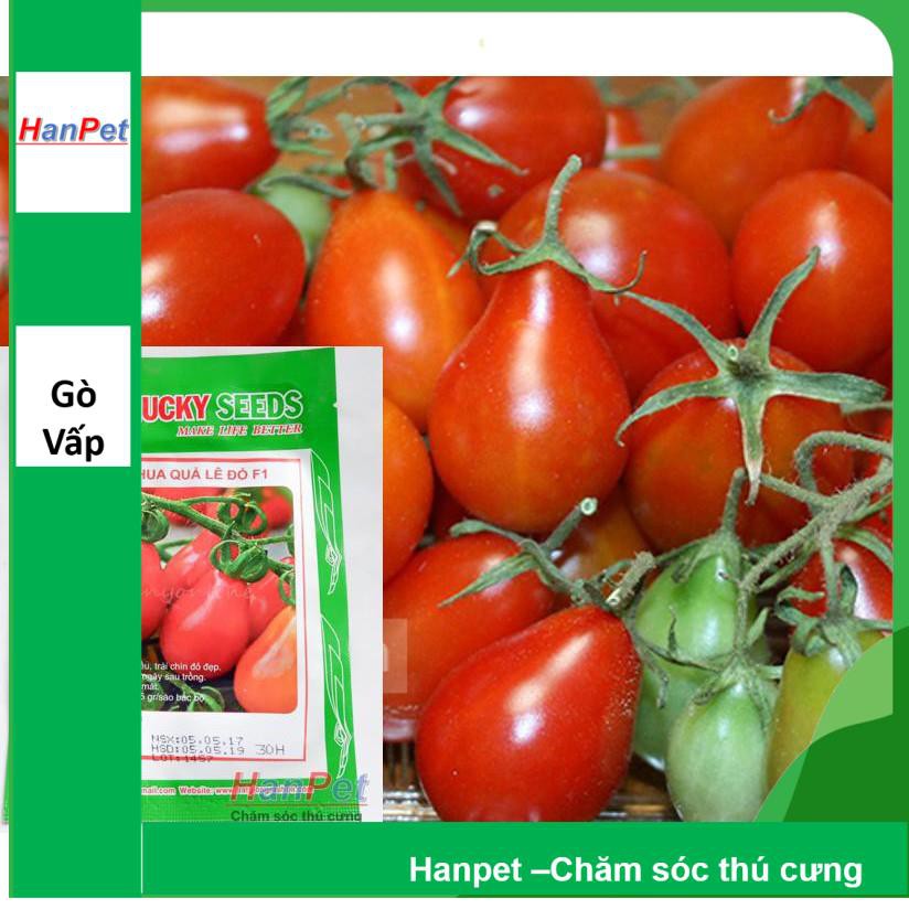 Hanpet.GV- (VƯỜN TRONG NHÀ) Hạt giống Cà chua hình lê (loại dài màu đỏ) Combo 30 hạt phù hợp khí hậu nhiệt đới- 1002