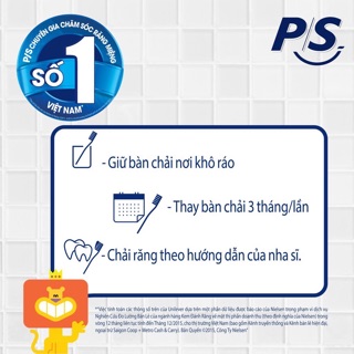 Bàn chải p/s muối tre