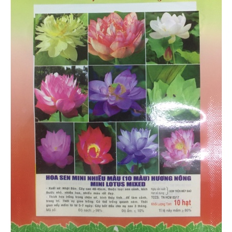 Thuốc diệt ốc bươu vàng dạng phun xịt VT-Dax 700wp gói 35gr