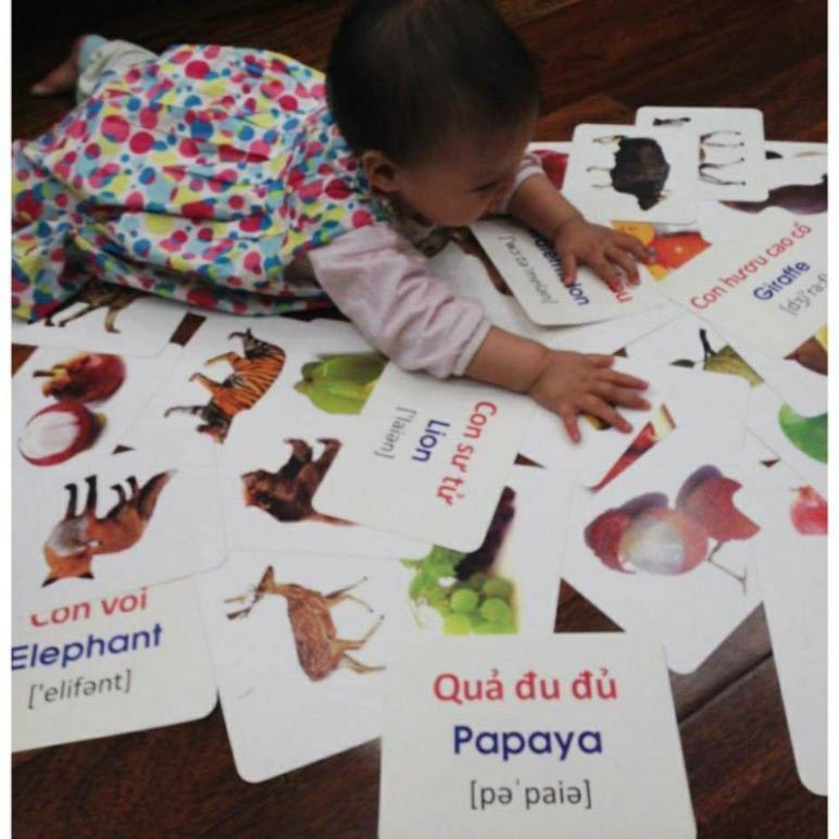 Bộ Thẻ Học Thông Minh 16 Chủ Đề Song Ngữ Tiếng Anh Loại Chuẩn Glenn Doman Flashcard Cho Bé Từ 0-6 Tuổi