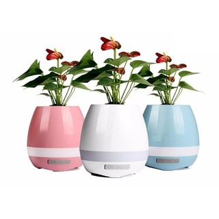 Loa bluetooth kiêm chậu hoa – cảm ứng theo điệu nhạc