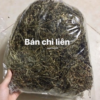 Bán chi liên 1kg