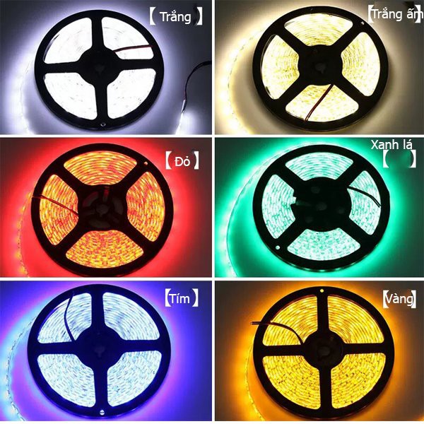 CUỘN LED DÂY DÁN ĐỔI 7 MÀU RGB 5050 Chống nước - Phủ Silicone ( DÙNG CHO TIKTOK - CÓ CẢM BIẾN ÂM NHẠC ) | BigBuy360 - bigbuy360.vn