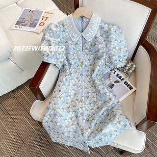 Đầm Tay Phồng Cổ Búp Bê Họa Tiết Hoa Màu Xanh Dương Nhạt Cao Cấp Sang Trọng Phong Cách Pháp Thời Trang Mùa Hè Cho Nữ