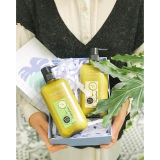 [Chính hãng] Dầu gội HACHI chính hãng dành cho từng loại tóc 500ML