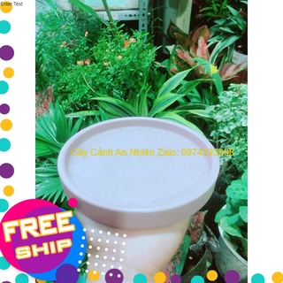 Đĩa Lót Chậu đường kính 14cm