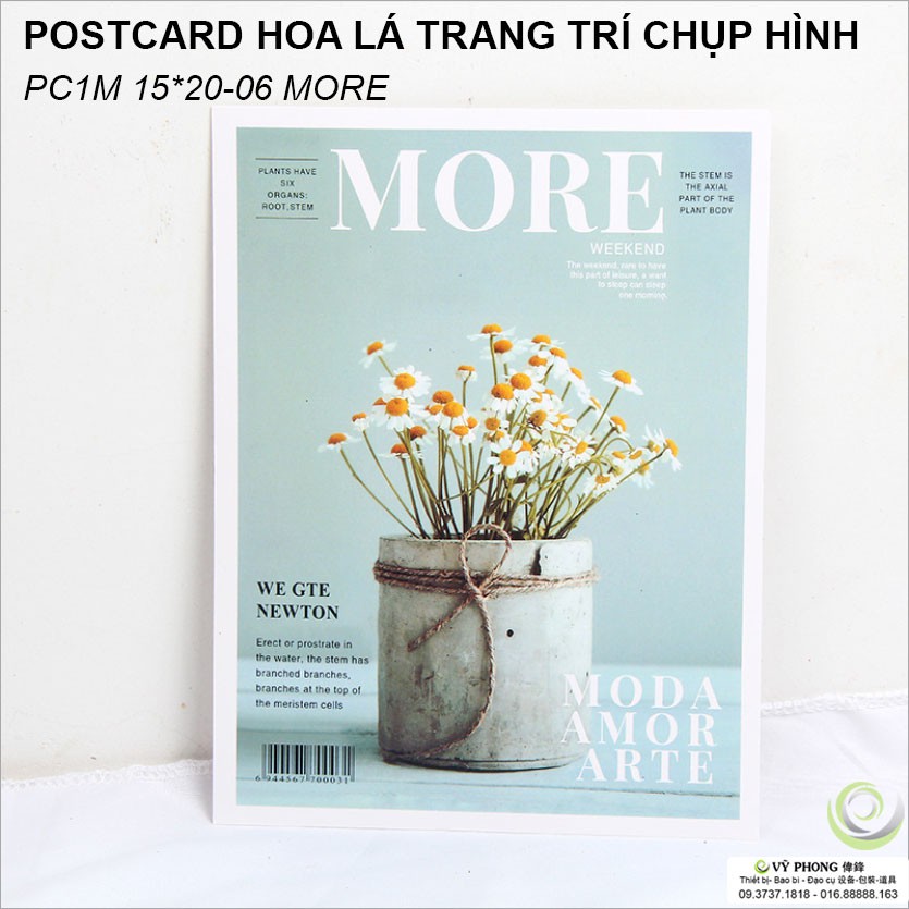 THIỆP CHỤP ẢNH POSTER 1 MẶT 15x20cm Phụ Kiện Trang Trí Chụp Ảnh Sản Phẩm PC1M15x20-01~9