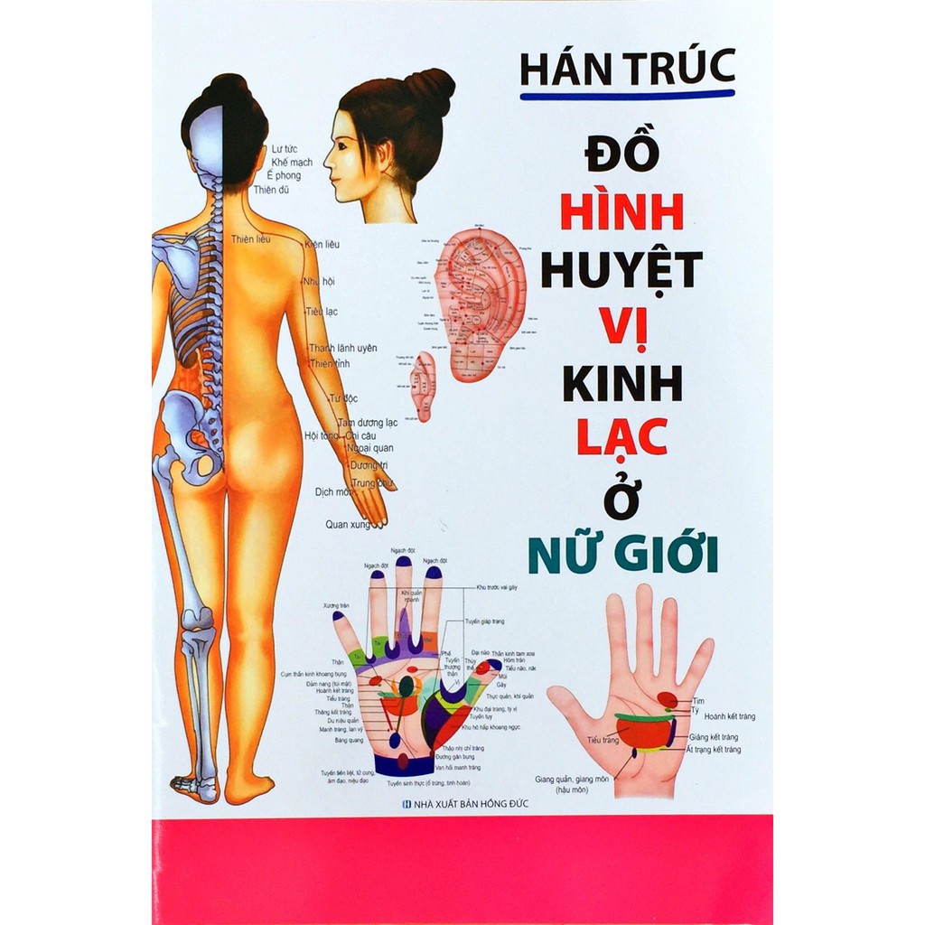 Sách - Đồ Hình Huyệt vị kinh lạc ở Nữ Giới (Hán Trúc) Gigabook