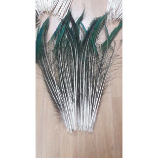 lông công - lông rìa 80cm loại 1