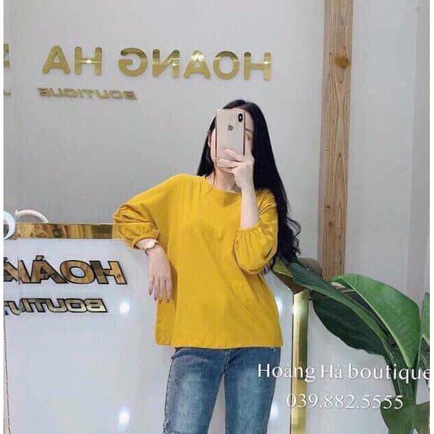 [FREESHIP ĐƠN TỪ 50K] Áo chun tay thu đông HARI0919