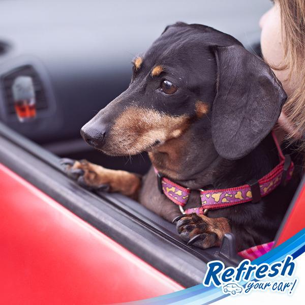 Viên thơm xe hơi hương Pina Colada