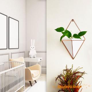 Bộ 2 chậu cây treo tường mini