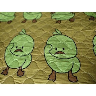CHĂN COTTON POLY CHẦN BÔNG 1m6x2m(mền hè)