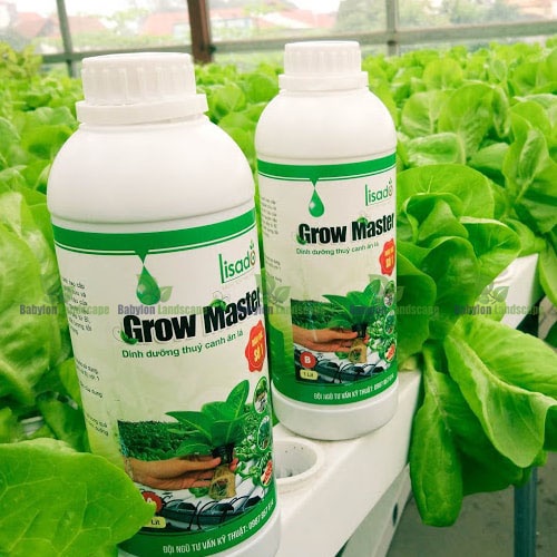 Dung dịch thủy canh rau ăn lá Grow Master cao cấp 1L