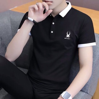 Áo phông nam có cổ