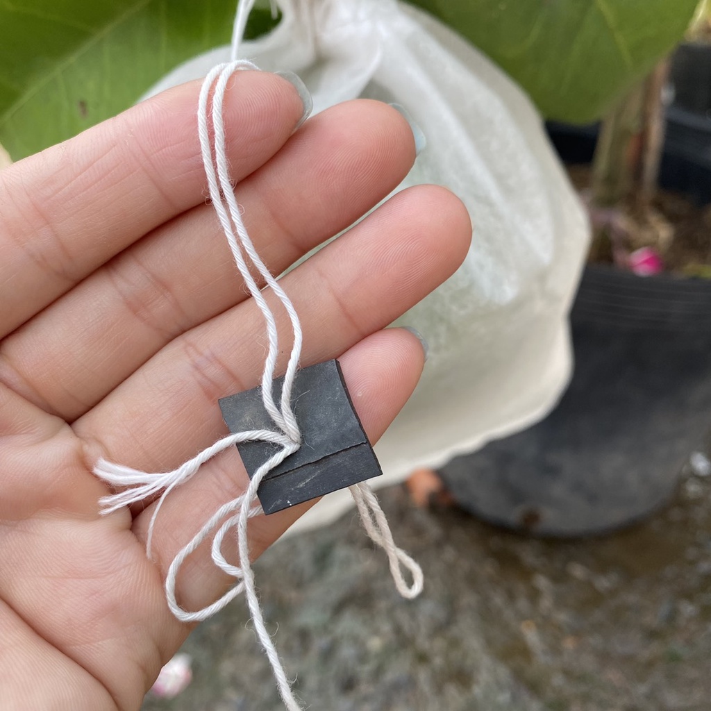 10 túi vải bọc trái cây tránh côn trùng, ong ruồi châm chích