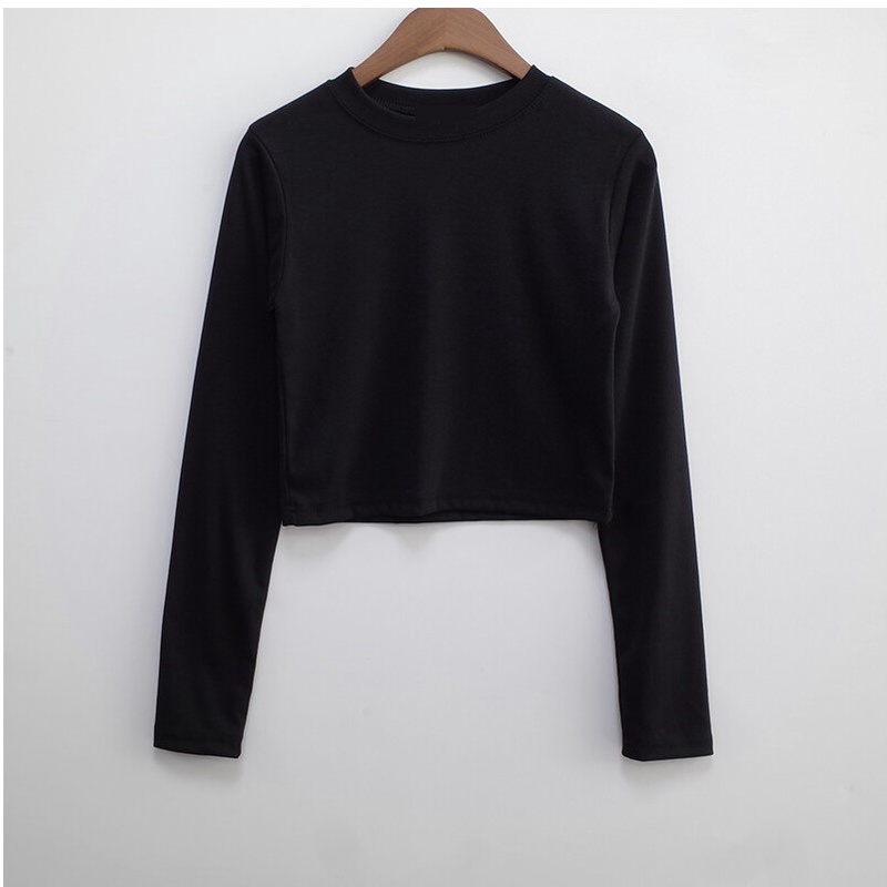 Áo Ôm Lửng Dài Tay Nhiều Màu Hani Crop T J-BLIN