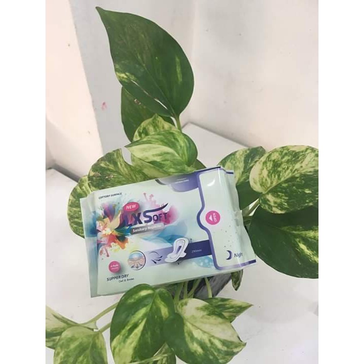 comb0 4 Băng vệ sinh ban đêm LXSoft