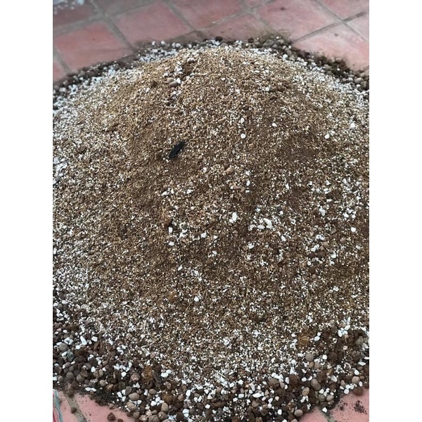 Giá thể VIP trồng hoa hồng, sung mỹ, các loại cây cảnh 1kg