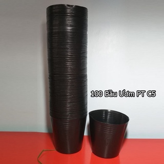 100 Bầu Ươm C5 Đường Kính 10cm