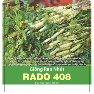 Hạt giống rau nhút