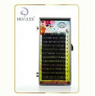 Mi nhung HOALYS