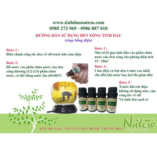 Đèn ngủ xông tinh dầu Đại