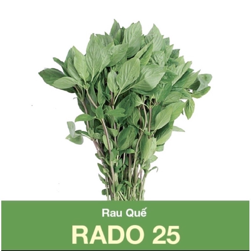 [Rạng Đông] Hạt giống húng quế Rado 25