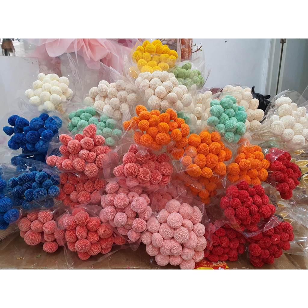 HOA CÚC NÚT ÁO  - hoa cúc - decor- bình hoa- hoa khô trang trí cafe, trà chanh, trà sữa, quán ăn-