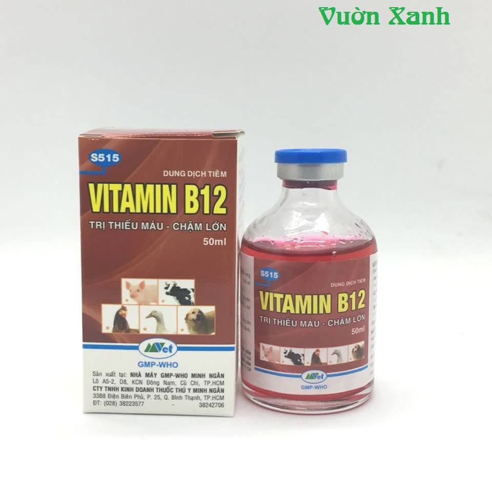 sale off SIEU RE-Vitamin B12 50 ml cho lan, cây cảnh 50ml Giải độc cây- Tái tạo tế bào mới hàng chuẩn cty.