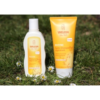 Dầu gội - xả organic Weleda cho tóc khô gãy Thuỵ Sỹ