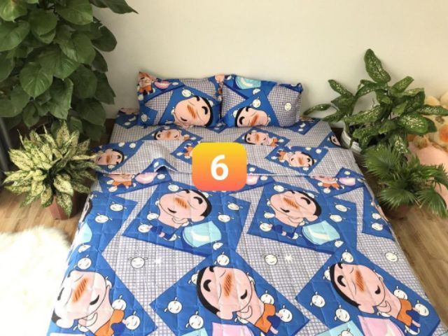 ( XẢ KHO BÁN LỖ) SET GA GỐI 3 MÓN KẺ MOON 1M6 COTTON POLY M648484