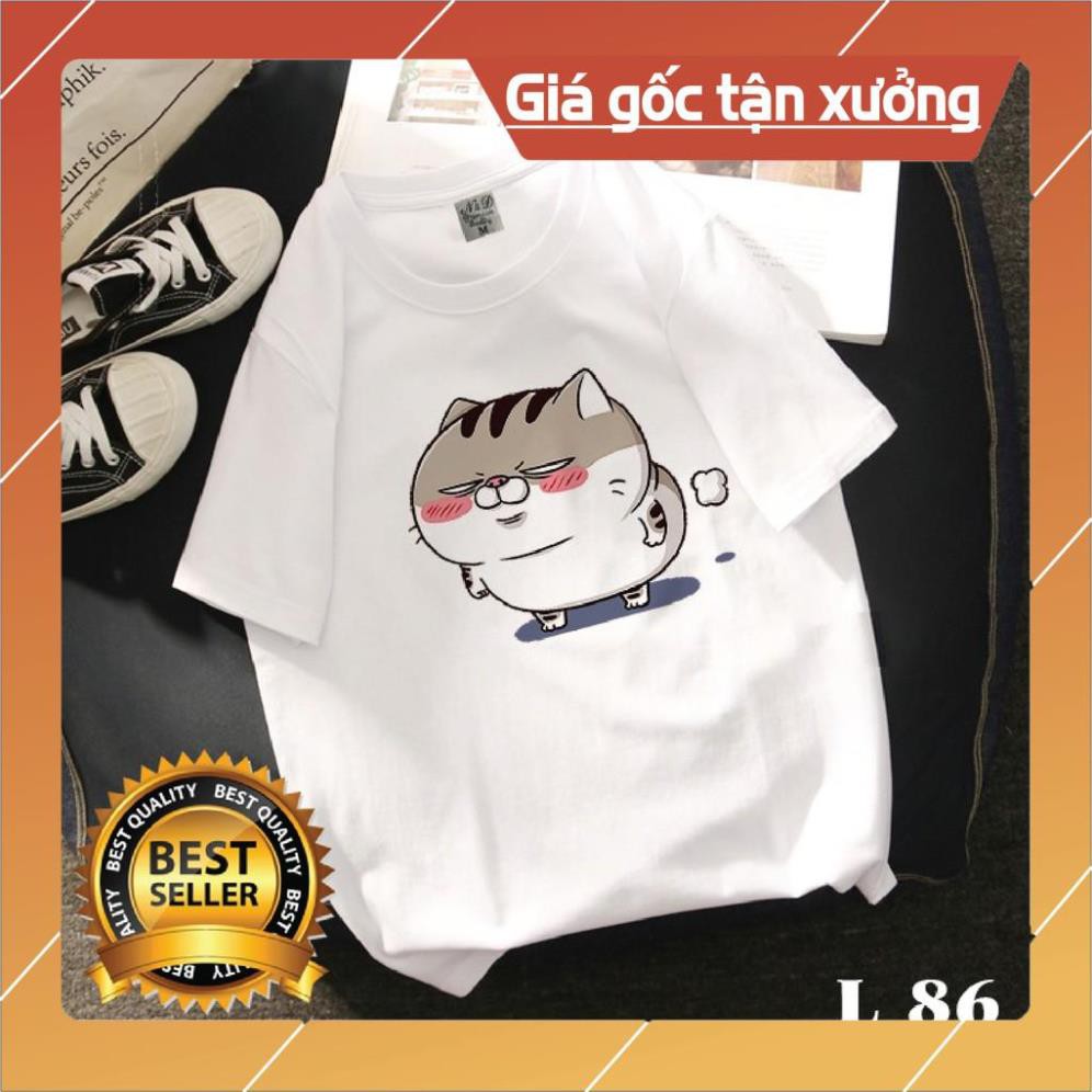 😍SALE HÈ😍 Áo Phông Đẹp Giá Rẻ Mèo Ami bụng bự siêu to khổng lồ