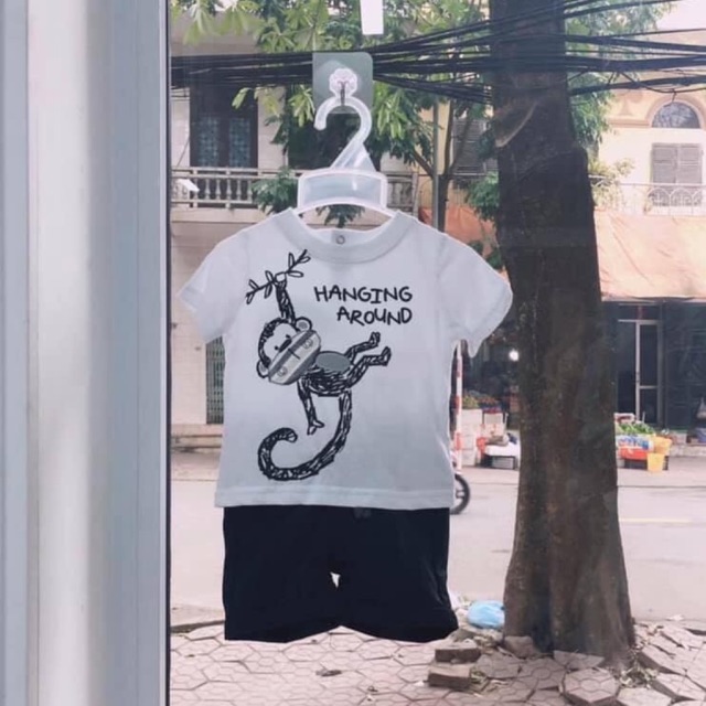 Bộ koalakids