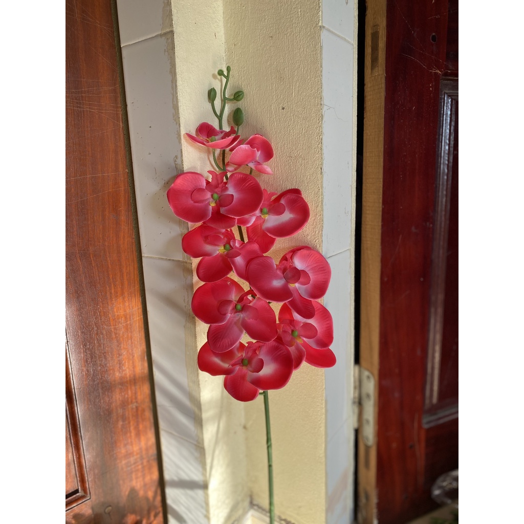 Hoa Giả Vải Lụa | Cành Hoa Lan Hồ Điệp 9 Bông Cao Cấp Cắm Bình Decor Trang Trí Nhà Cửa Siêu Đẹp | Hà Hoa Flower